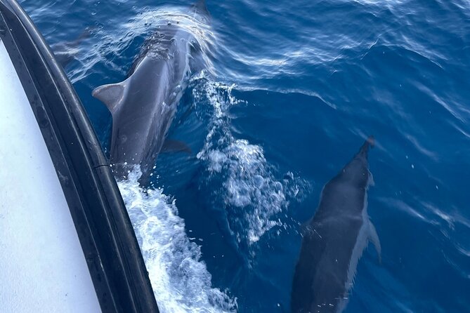 Private Fishing Charter for Family and Friends in Honolulu - What to Pack for a Smooth 2-Hour Charter