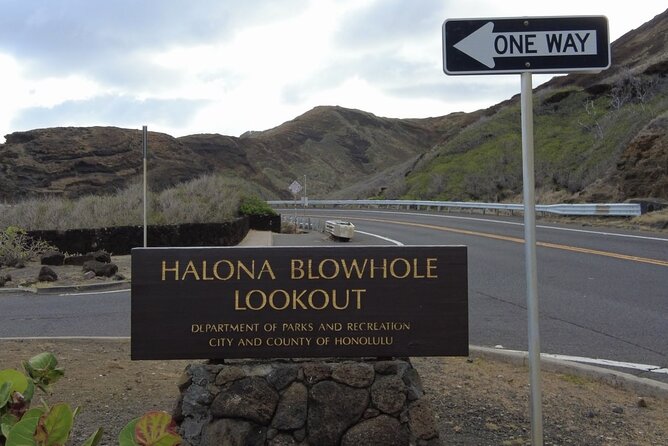 Private Full-Day Circle Island Guided Small-Group up to 6 (Se habla Español) - Honolulu Zoo as Your Easy First Stop