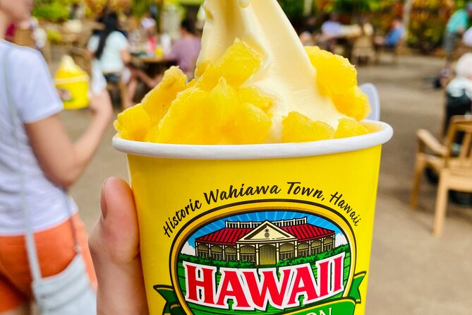 Private Half-Day Circle Island Highlights Tour in Oahu - Key things to know before you go