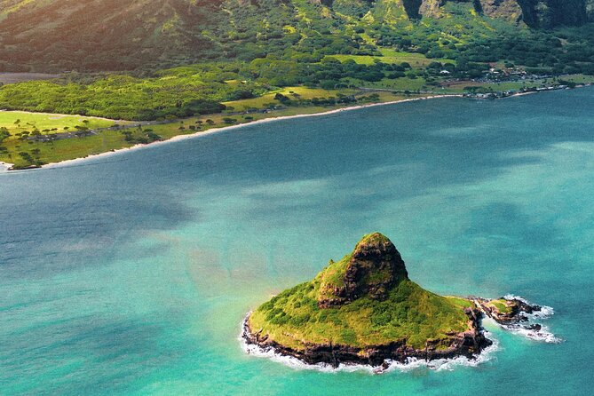 Private Half-Day Circle Island Highlights Tour in Oahu - Dole Plantation: Dole Whip, restrooms, and souvenir browsing time