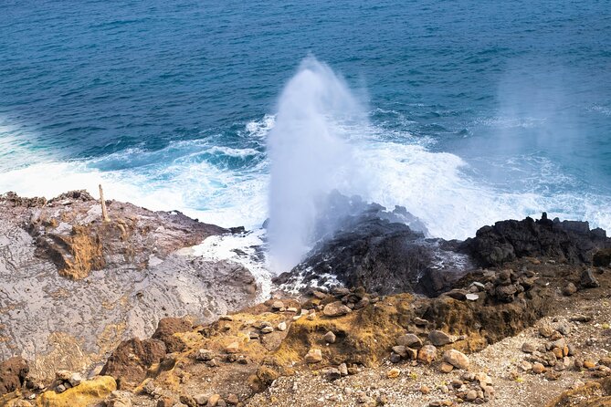 Private Half-Day Circle Island Highlights Tour in Oahu - Price and logistics for groups up to 13