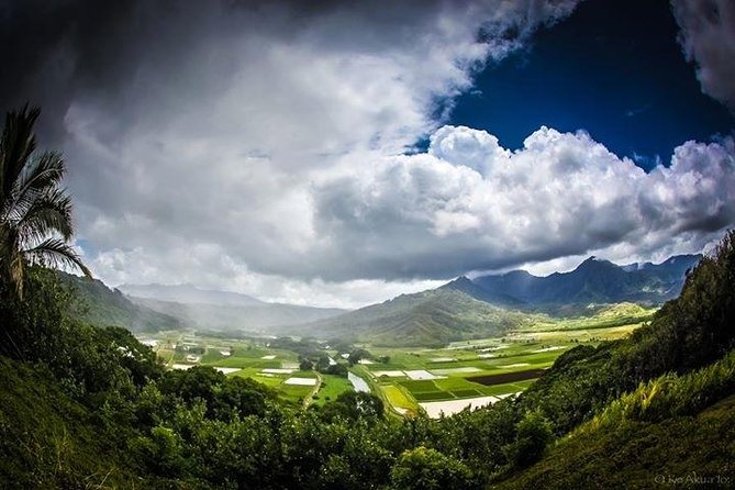 Private luxury tour of Oahu island - What Makes a Private Luxury Oahu Tour Actually Worth the Money