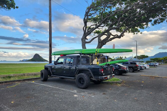 Private North Shore Hawaiian outrigger Canoe and turtle adventure - Snorkeling and turtles: what to realistically expect