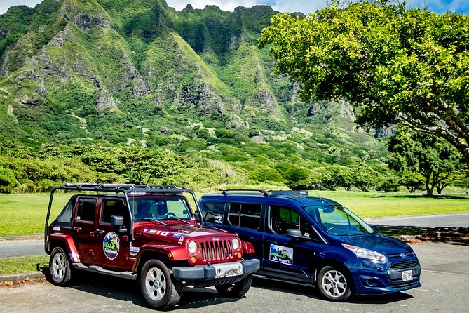 Private North Shore of Oahu Tour - Waimea Bay lookout and Mokolii Island: what to expect