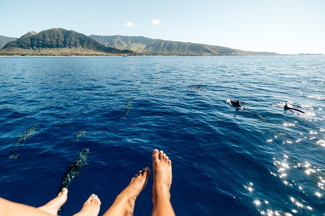 Private Oahu Sunset Charter with Tasting and Drinks - West Oahu Waters: How You Can Actually Spot Marine Life