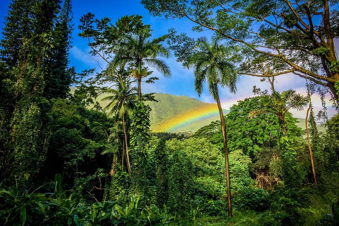 Private Oahu Van Tour - A 6-Hour Private Oahu Loop That Saves You From Gridlock