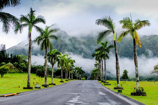 Private Oahu Van Tour - Price and Value: What $197.19 Buys You Here