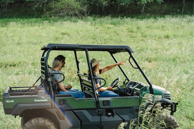 Private Off-Road Adventure Tour - Why Gunstock Ranch feels like real Oahu, not just scenery