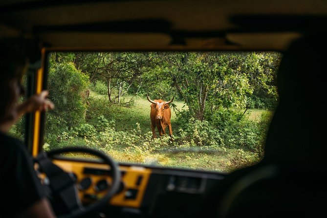 Private Off-Road Adventure Tour - Stop 1 at the ranch top: mountain trails, views, and ranch life