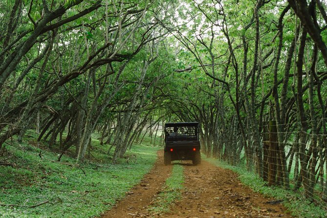 Private Off Road Explorer's Tour - Who This Private Off-Road Explorer Tour Is Best For