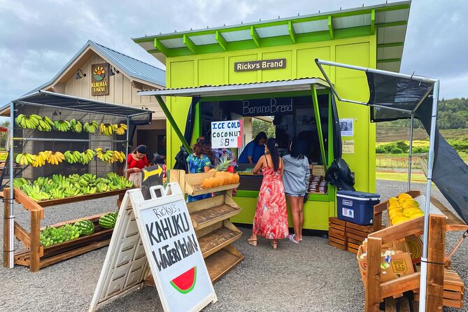 PRIVATE Premium Circle Island Tour (12 Stops) - Dole Plantation, Haleiwa town time, and Pupukea beach park