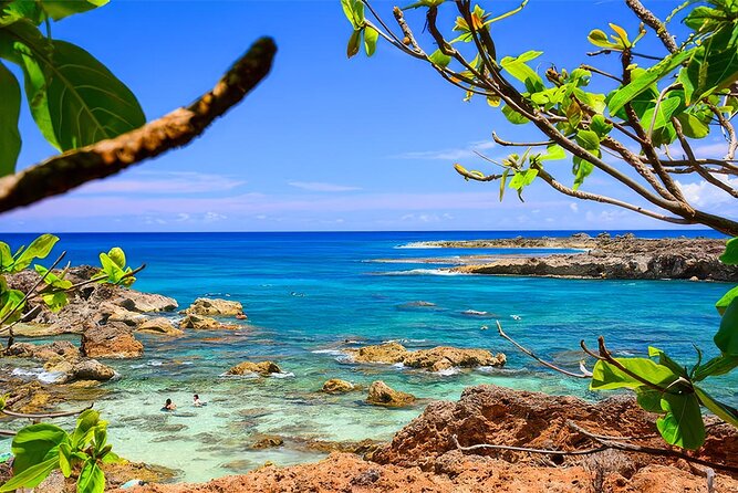 PRIVATE Premium Circle Island Tour (12 Stops) - Who this tour suits best, and who might prefer another plan