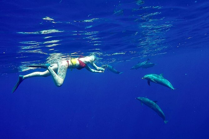 Private Sea’fari Expedition • 8 Guests Included (Expandable) - How the 3-hour rhythm stays fun (not rushed)