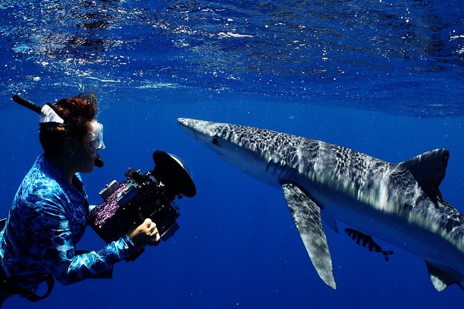Private Shark Dive, Oahu, Hawaii (6 Guest) - Timing expectations: the “about 2 hours” reality check