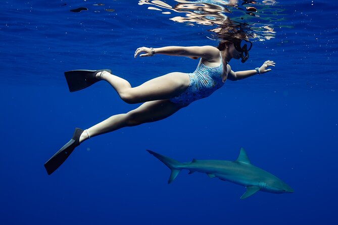 Private Shark Dive, Oahu, Hawaii (6 Guest) - The Haleiwa start, plus the Hale Koa Luau area on the route