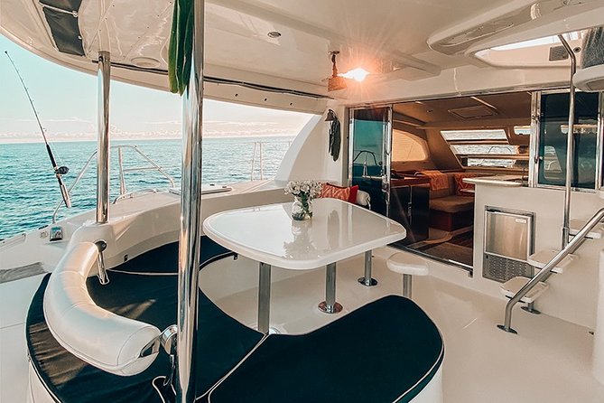 Private Snorkel Trip from Oahu on a Yacht - Wildlife spotting from the boat: what you should keep an eye on