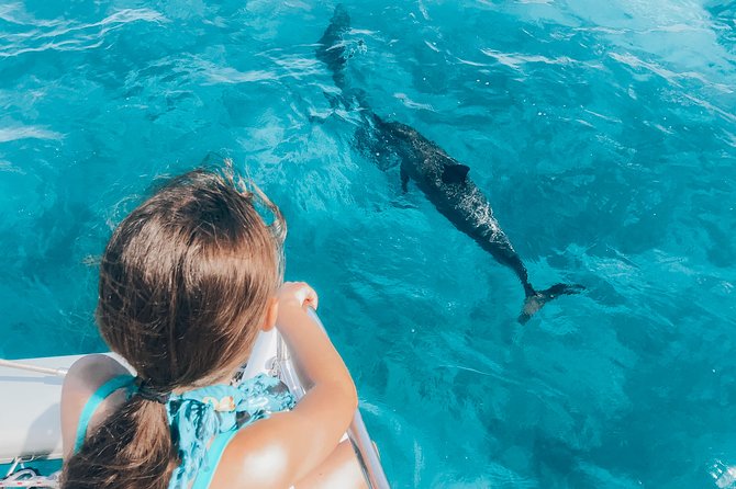 Private Snorkel Trip from Oahu on a Yacht - Snorkeling time: gear, local instruction, and the easiest way to see sea life