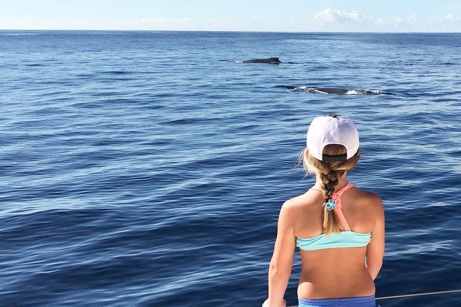 Private Snorkel Trip from Oahu on a Yacht - Ko Olina Marina to West Oahu waters: what the morning feels like