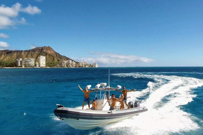 Private Snorkeling and Wildlife on The Adventure Boat - Key things I’d bet on before you book