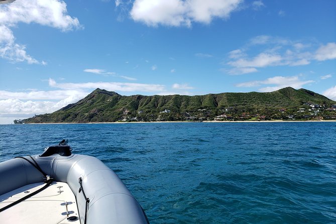 Private Snorkeling and Wildlife on The Adventure Boat - Snorkeling time, with real coaching for different comfort levels