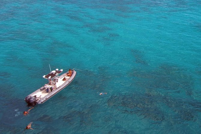 Private Snorkeling and Wildlife on The Adventure Boat - Why the boat speed is a big deal (not just marketing talk)