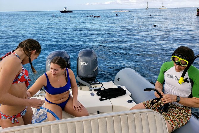 Private Snorkeling and Wildlife on The Adventure Boat - Price and value: $725 for up to 6 people