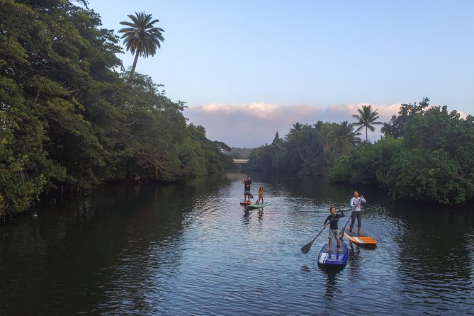 Private Stand up Paddle Lesson and Tour (for 1 or more paddlers) - Why Haleiwa Bay and Anahulu Stream are a great match for first-timers