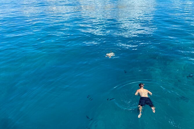Private Sunset Catamaran Cruise in Waikiki - BYOB is allowed, so plan your simple evening