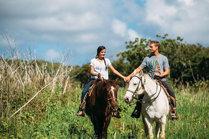 Private Sweetheart Horseback Ride - Gunstock Ranch in Kahuku: why it feels more local than a big resort tour