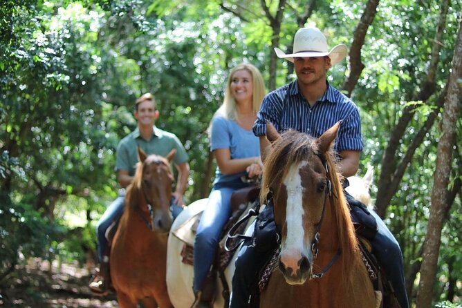 Private Sweetheart Horseback Ride - Should you book the Private Sweetheart Horseback Ride?