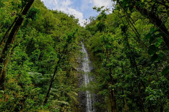 PRIVATE TOUR-Hike Diamond Head & Hawaiian Waterfall - Food stops: snacks and water plus a plate breakfast break