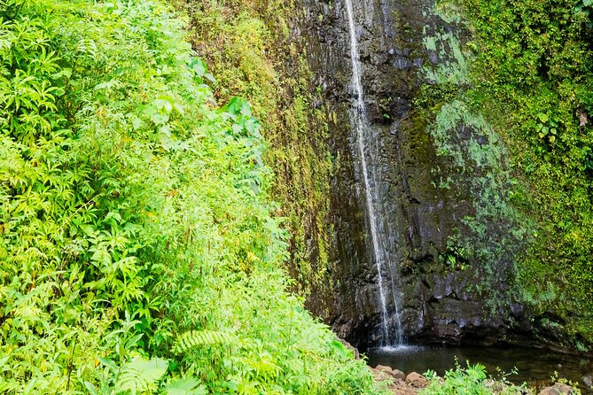 PRIVATE TOUR-Hike Diamond Head & Hawaiian Waterfall - Is $107 a good value for this Oahu hike pair?