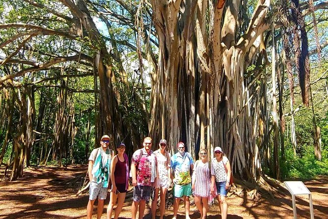 Private Tour Oahu Circle Island - Fully Personalized Experience - What to Pack, and How to Pace a Long Island Day