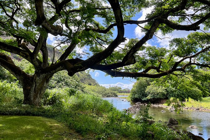 Private Tour Oahu including Waimea Waterfall-Customizable - Private Oahu pace, from Waikiki and cruise ports