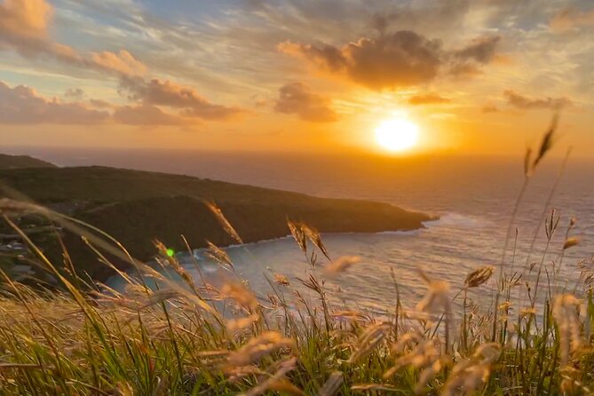 Private Tour Oahu - up to 6 passengers - Customizable - Hanauma Bay Nature Preserve: Stunning Lookout, No Snorkeling Included