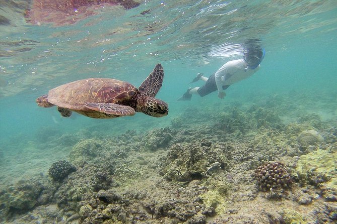 Private Tour of Oahu for 6 to 11 people - up to 8 hours - Beaches, Blowholes, and Sea-Life Watching Without the Crowds