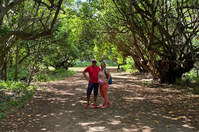 PRIVATE TOUR-Ultimate North Shore Experience - Waimea Valley, Botanical Walk to a Real Waterfall Swim