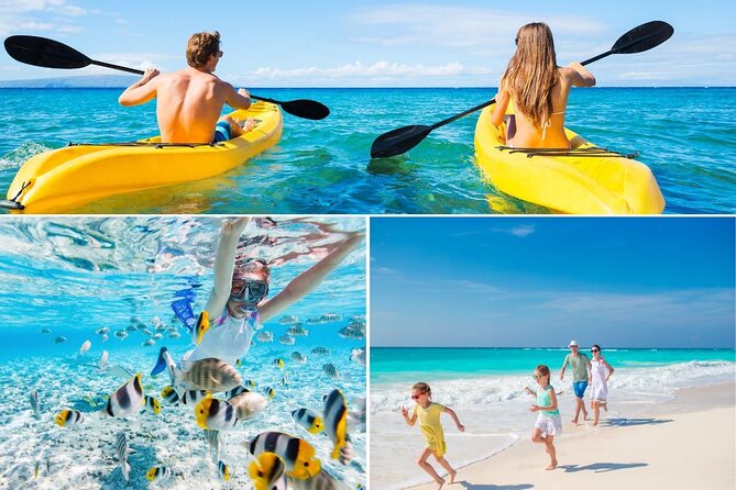 PRIVATE TOUR-Ultimate North Shore Experience - Turtle Bay Beach Snorkeling and Sea Turtle Watching