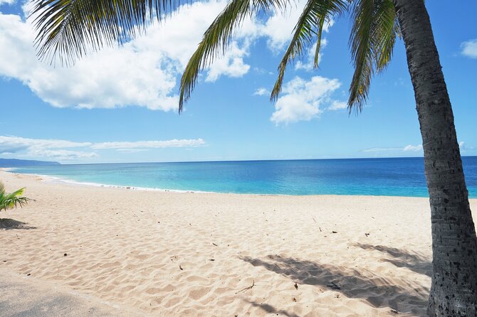 PRIVATE TOUR-Ultimate North Shore Experience - Dole Plantation and Dole Whip, the Sweet Finish