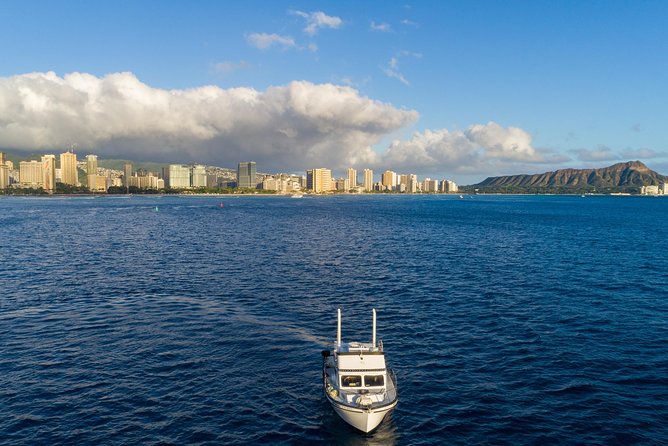 Private Turtle Canyon Snorkel Tour - Up to 6 Passengers - The Waikiki Beach leg: snorkeling, turtles, and watching for whales and dolphins