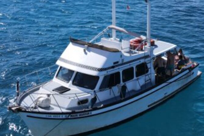 Private Turtle Canyon Snorkel Tour - Up to 6 Passengers - Dolphins, whales, and turtles: how the crew insights change the experience
