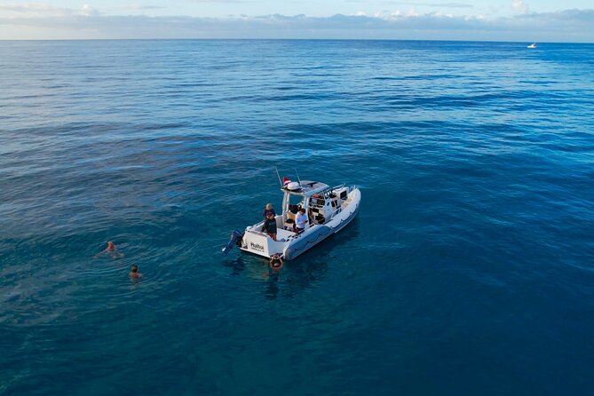 Private Turtle Snorkel & Cruise Waikiki - Shipwreck Snorkeling: A Different Look at Oahu’s Underwater Stories