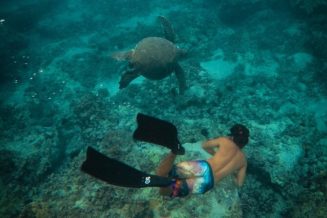 Private Waikiki Boat Charter – Create Your Own Ocean Experience - Private time off Diamond Head: what makes this charter click