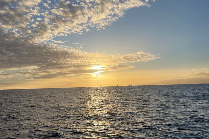 Private Waikiki Boat Charter – Create Your Own Ocean Experience - What Captain Dan and Stephanie do best (and why it matters)
