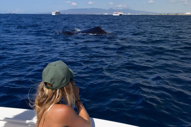 Private Whale Watching Activity: 6 passengers max - The whale spotting experience: behavior, breaches, and close moments