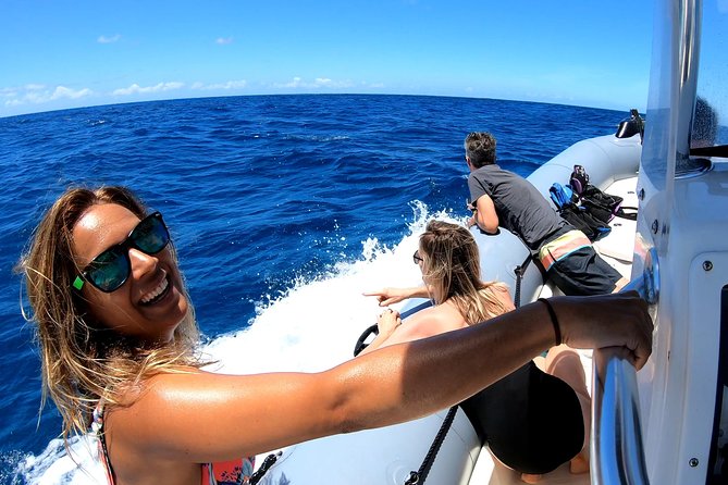 Private Whale Watching Adventure - Key things to know before you book