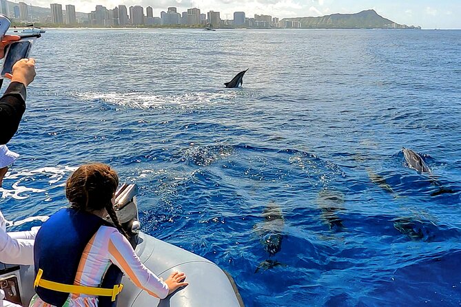 Private Whale Watching Adventure - Should you book the Adventure Boat private whale watch in Oahu?