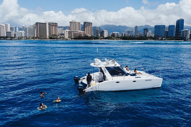 Private Whale Watching and Coastal Swimming Tour Honolulu - Music, food, and BYOB: turning the boat into your hangout