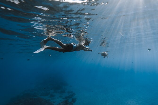 Private Whale Watching and Coastal Swimming Tour Honolulu - Power catamaran logistics: how the comfort shows up in real life