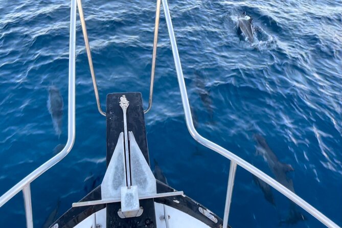 Private Whale Watching and Dolphin Excursion - Boat comfort and cleanliness: the quiet factor that affects everything